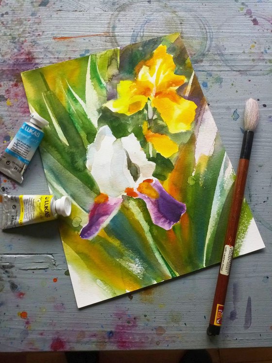 Purple White and Yellow Irises Loose Watercolor Painting