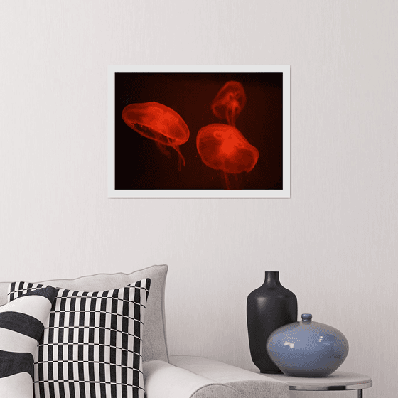 At the aquarium #4 | Limited Edition Fine Art Print 2 of 10 | 45 x 30 cm