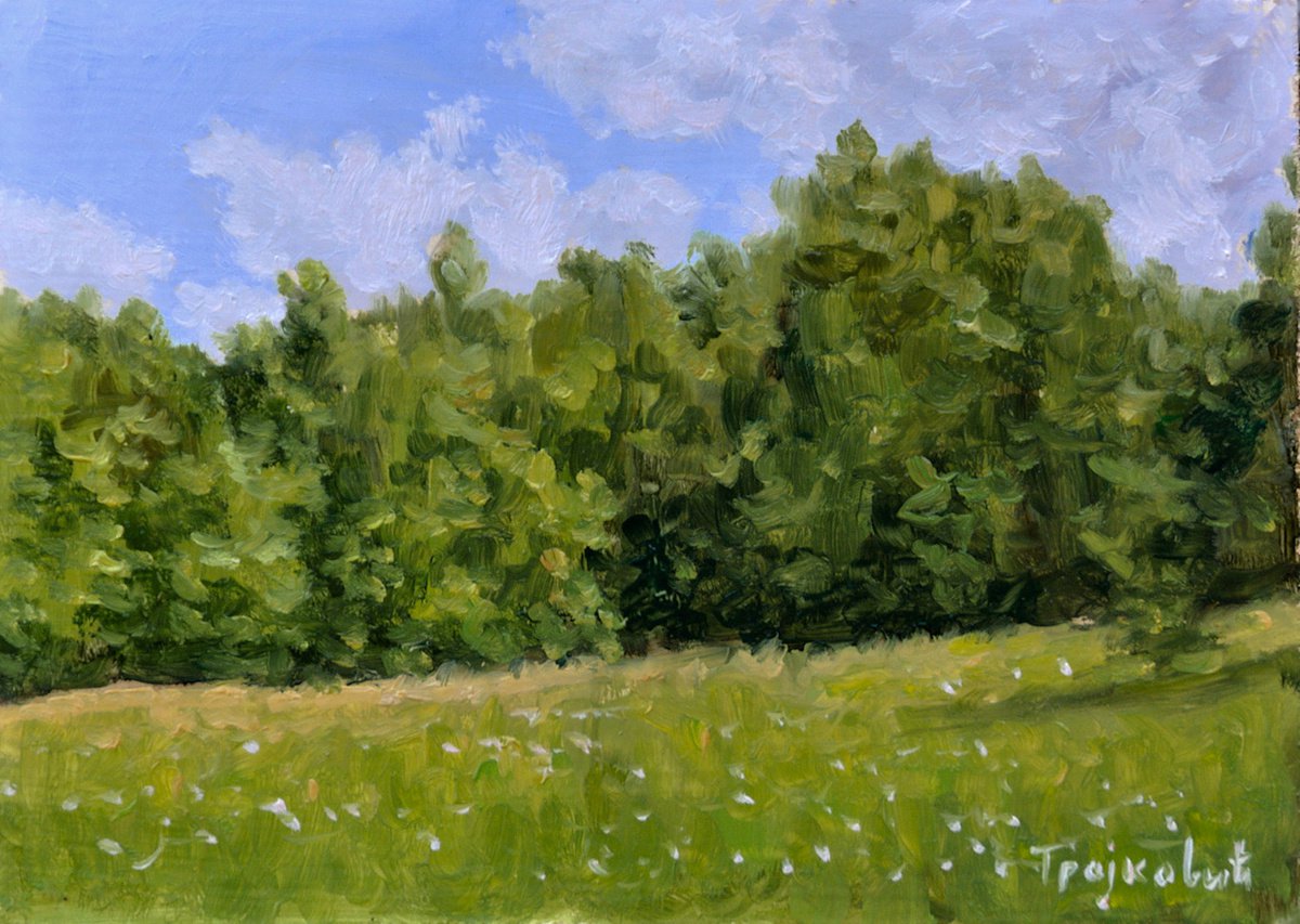 Impressionistic Landscape Oil Painting By Dejan Trajkovic, 11 X 9, Under The Sun Ii, Original Artwork