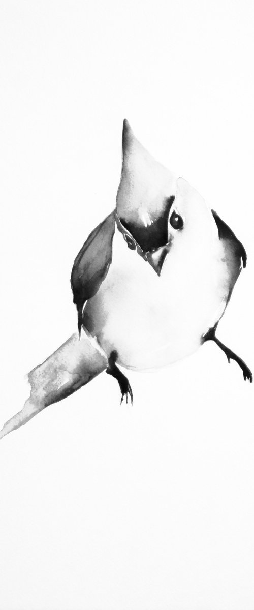 Bird by Nadia Moniatis