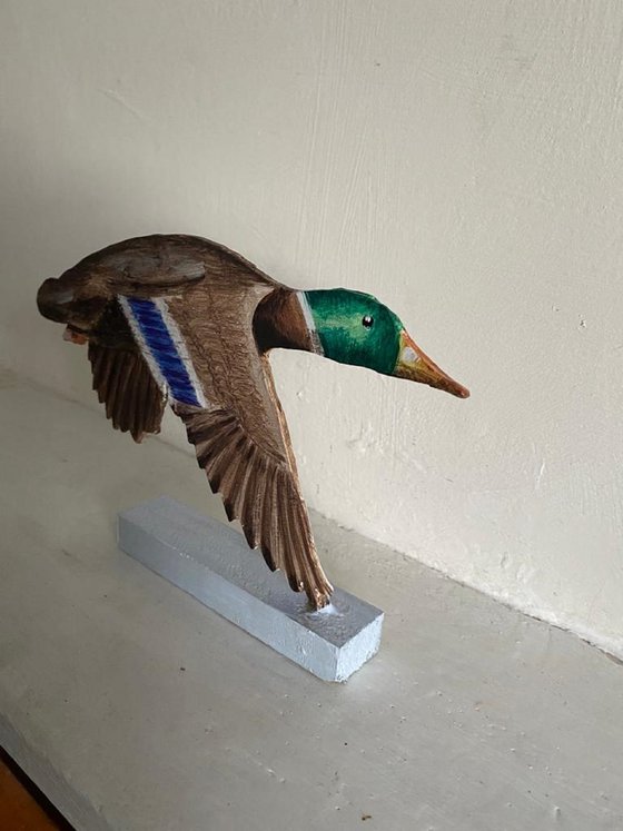 Flying Mallard