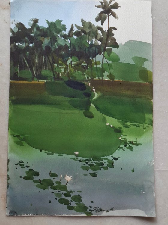 Green grass, lotus pond