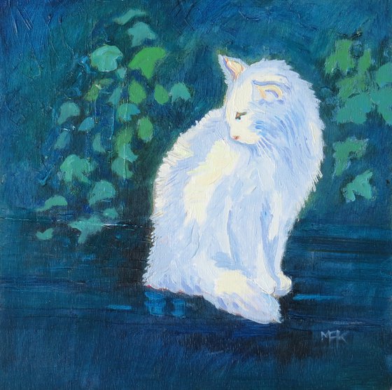 White Cat