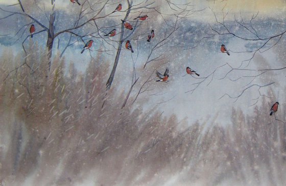 Bullfinches