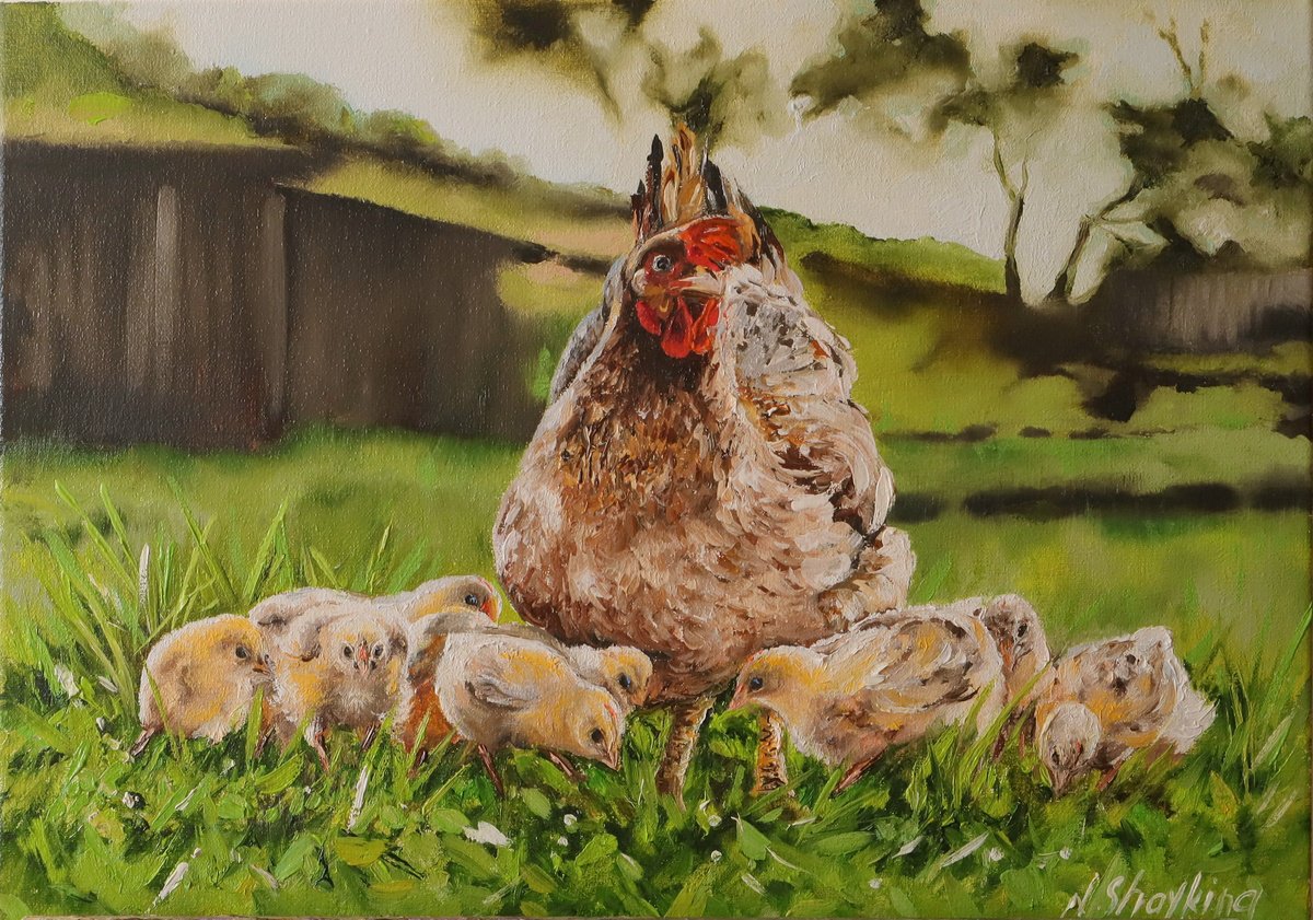 Photorealistic Oil Painting , Mother Hen And Baby Chicks By Natalia Shaykina, 14 X 10, Artwork For Sale On Artfinder