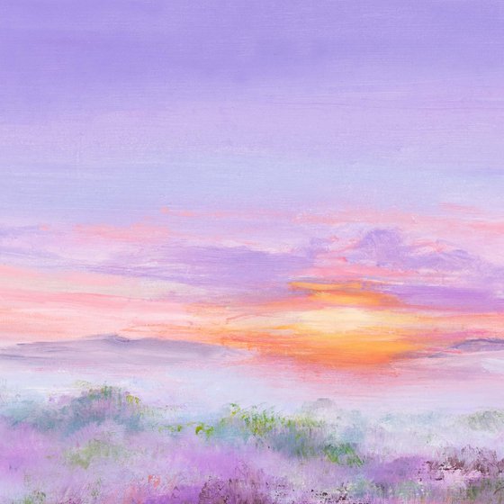 'Purple sunrise'