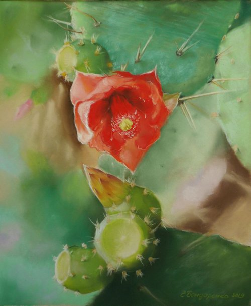 Prickly Pear flower. Pastel by Elena Bondarenko