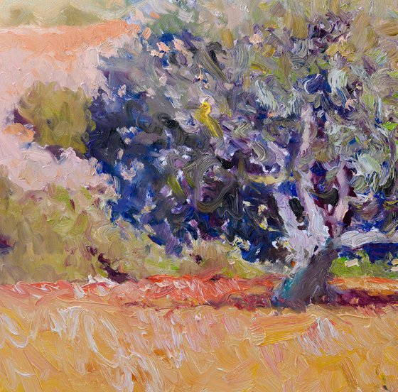 Summer Landscape, California