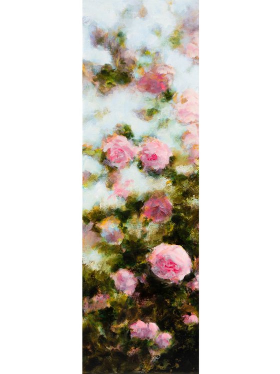 Buisson de roses roses - Pink Rosebush