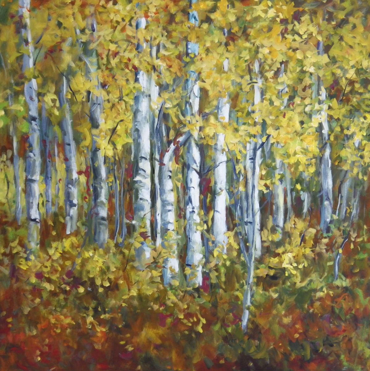 Birch Forest by Ingrid Dohm