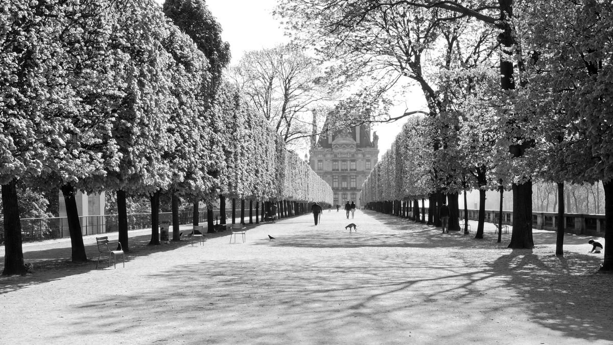 Photorealistic Cityscapes Photograph By Alex Cassels, 24 X 14, Jardin Des Tuileries, Original Artwork