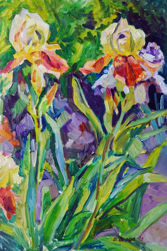 Irises, sunny day (plein air)