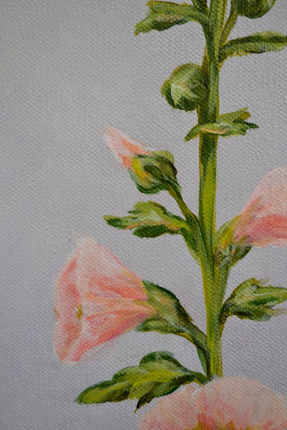 MALVA