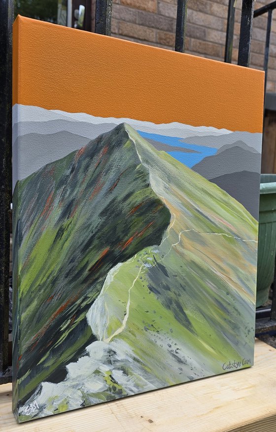 Catstye Cam