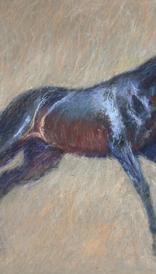 Black Horse by Nataliia Zaharuk