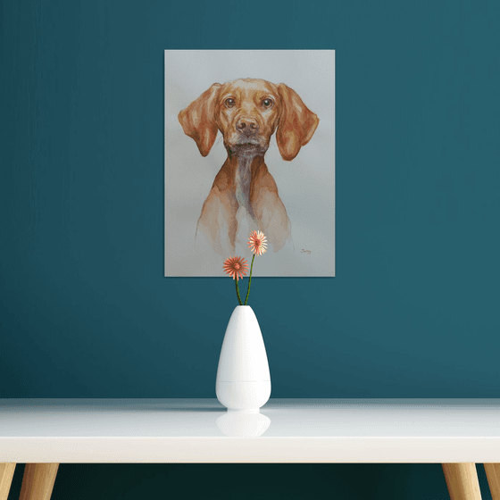 Good boy - dog portrait