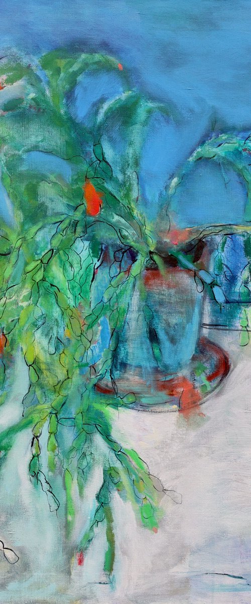 Schlumbergera by Artem Andreichuk