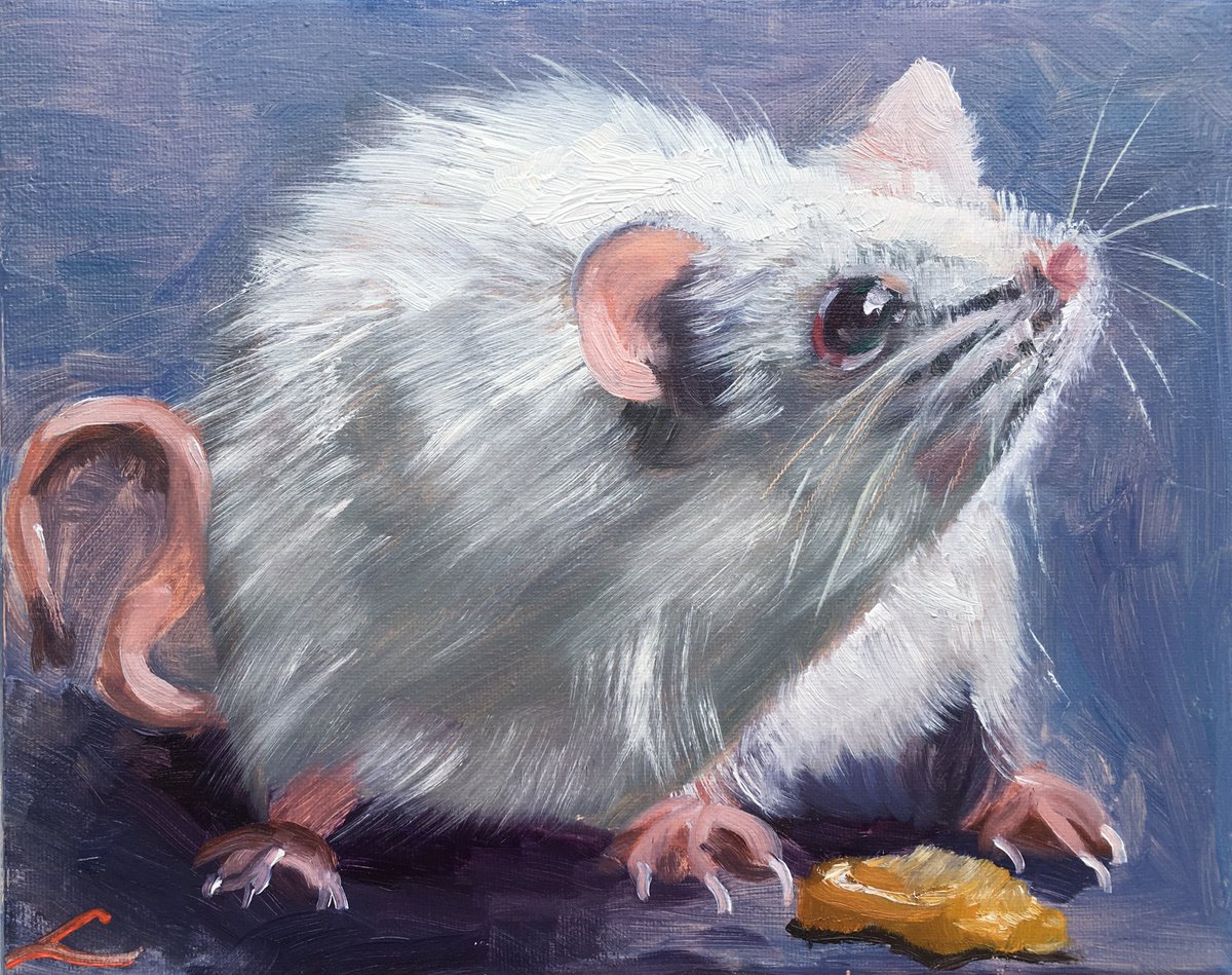 Impressionistic Animal Oil Painting By Elena Sokolova, 12 X 9, White Rat, Original Artwork