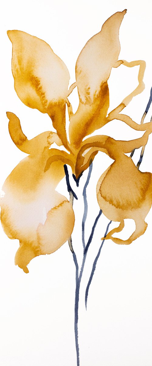 Iris No. 143 by Elizabeth Becker