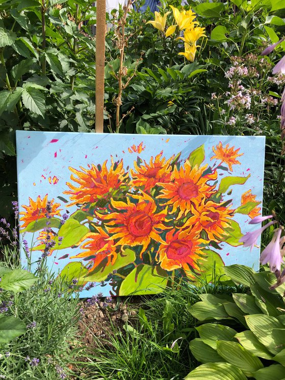 Dance of sunflowers