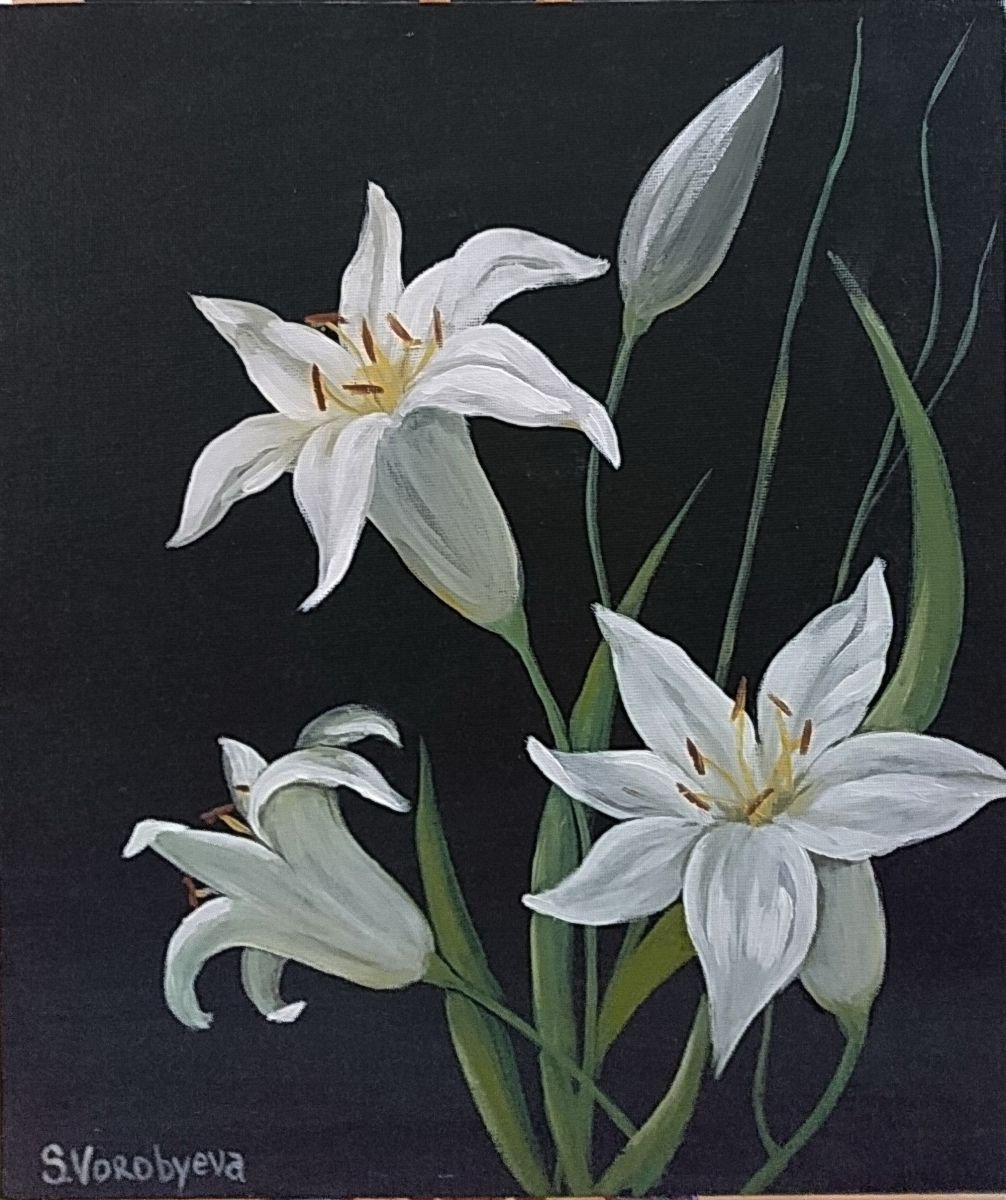 White Lily by Svetlana Vorobyeva