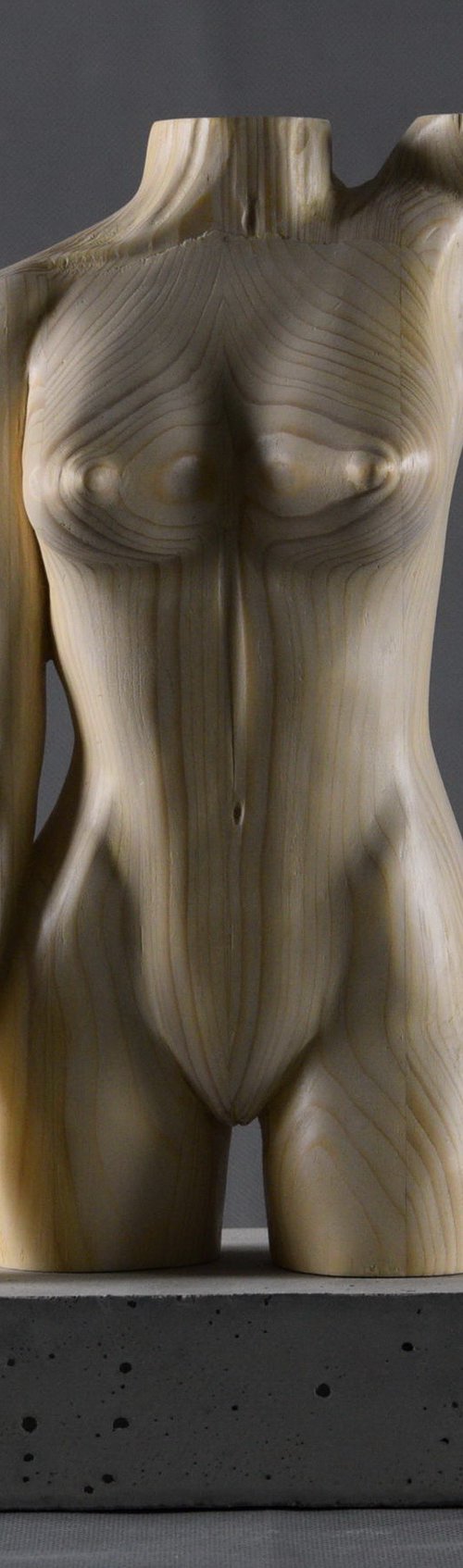 Standing Female Torso by Lee Forester