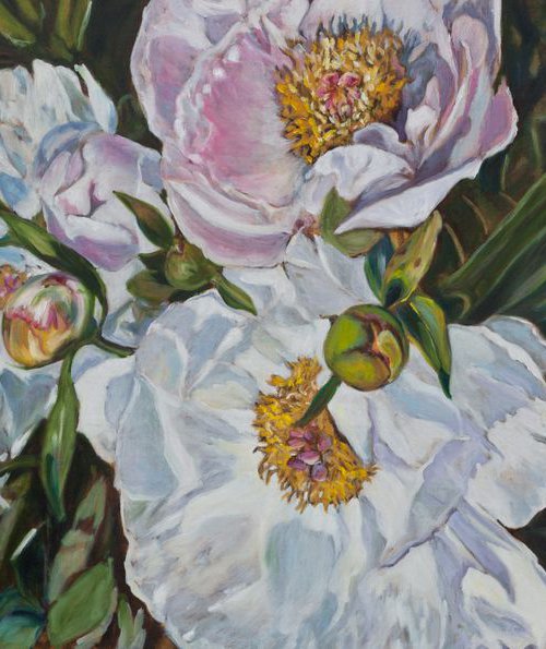 Peonies by Liudmila Pisliakova