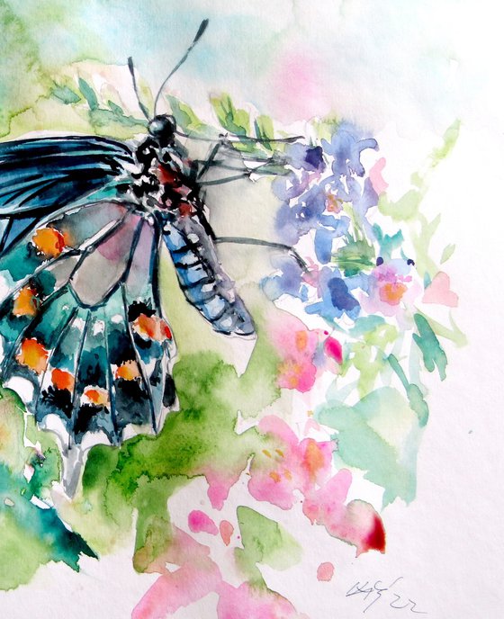 Butterfly with flowers