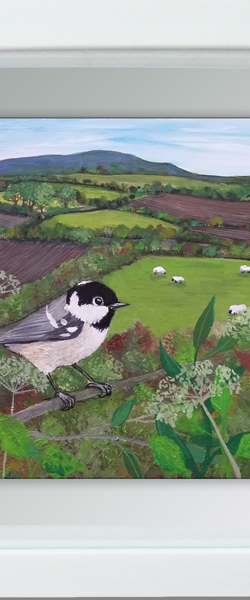 Hedgerow view by Carolynne Coulson