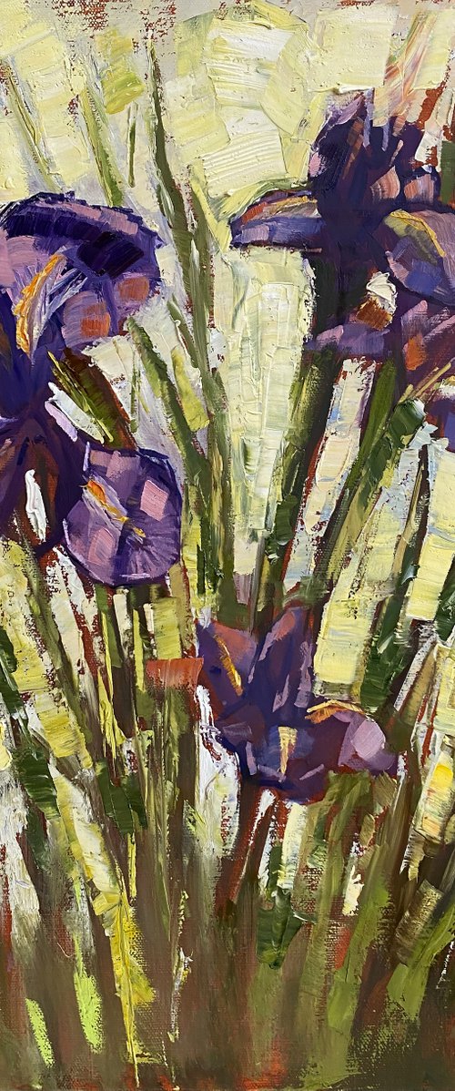 Sunny Irises by Irina Sergeyeva