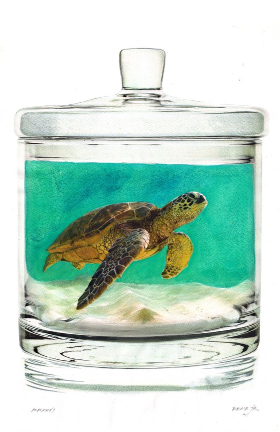 Turtle in Jar X