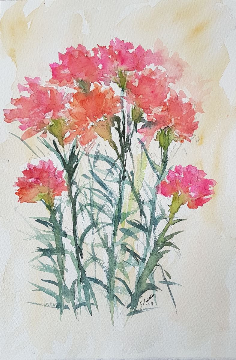 Carnations by Silvia Flores Vitiello