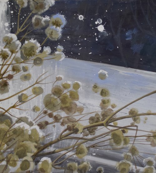 Frozen cotton by Hannah Barlag