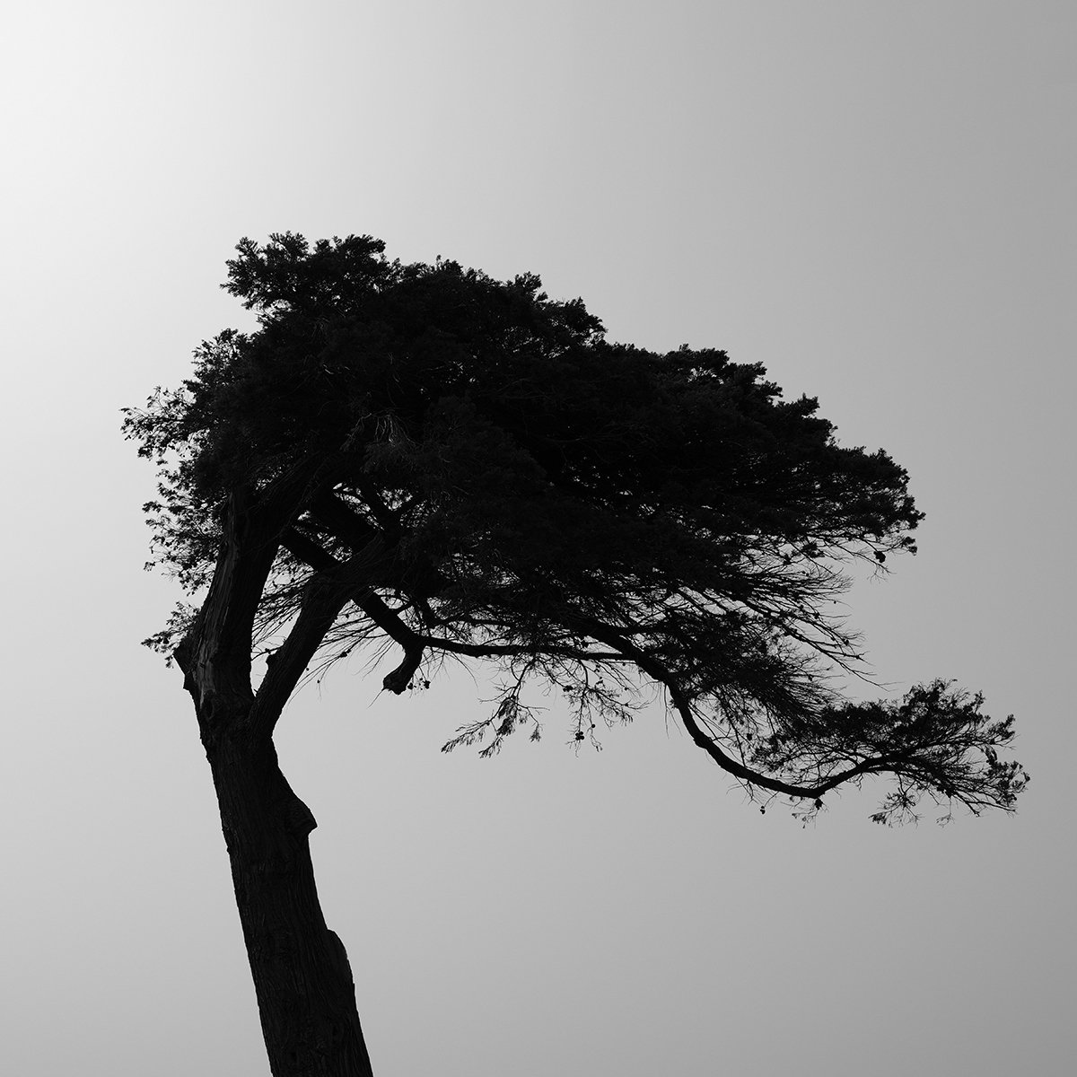 Photorealistic Landscape Photograph By Nick Psomiadis, 35 X 35", W1042, Original Artwork