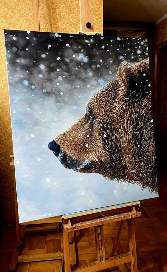 Brown Bear - wild life / wild animal / animalism