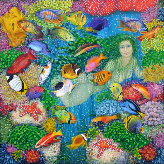 Dream in the Reef