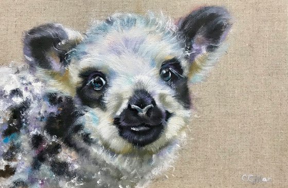 Babydoll, Purebred Olde English Babydoll Lamb Original Oil Painting