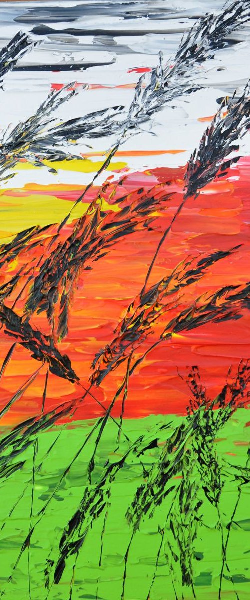 Sunset In The Grass 2 by Daniel Urbaník