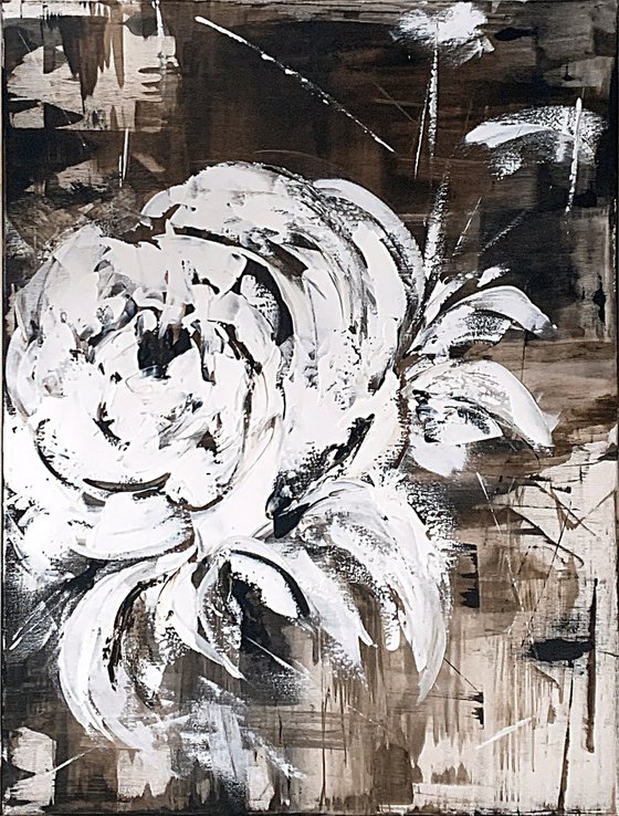 Ivory Bloom in Shadowed Light