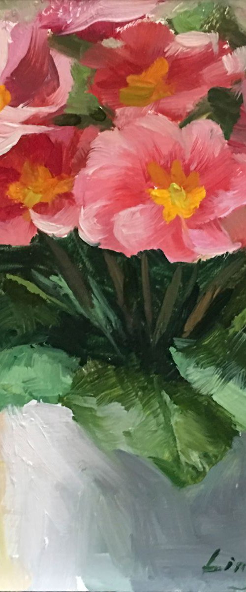 Pink Primroses by Ling Strube