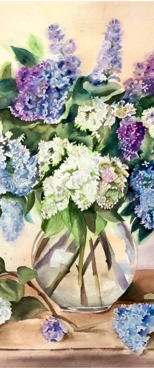 Lilac by Irina Ponna
