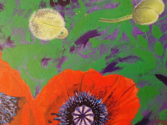 Poppies on Purple