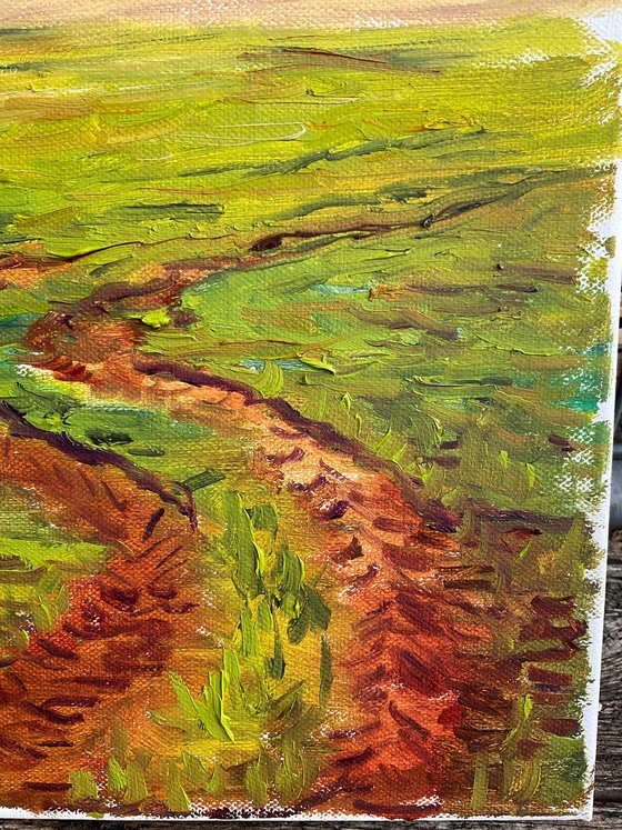 Dutch Meadow Path