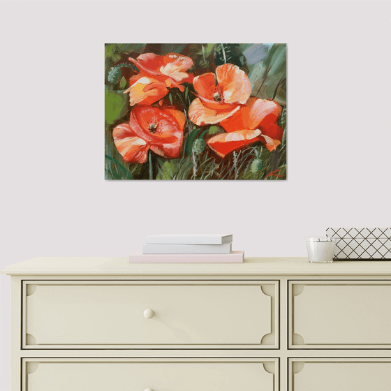 Poppies 3