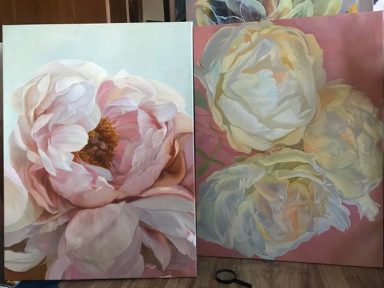 Peonies