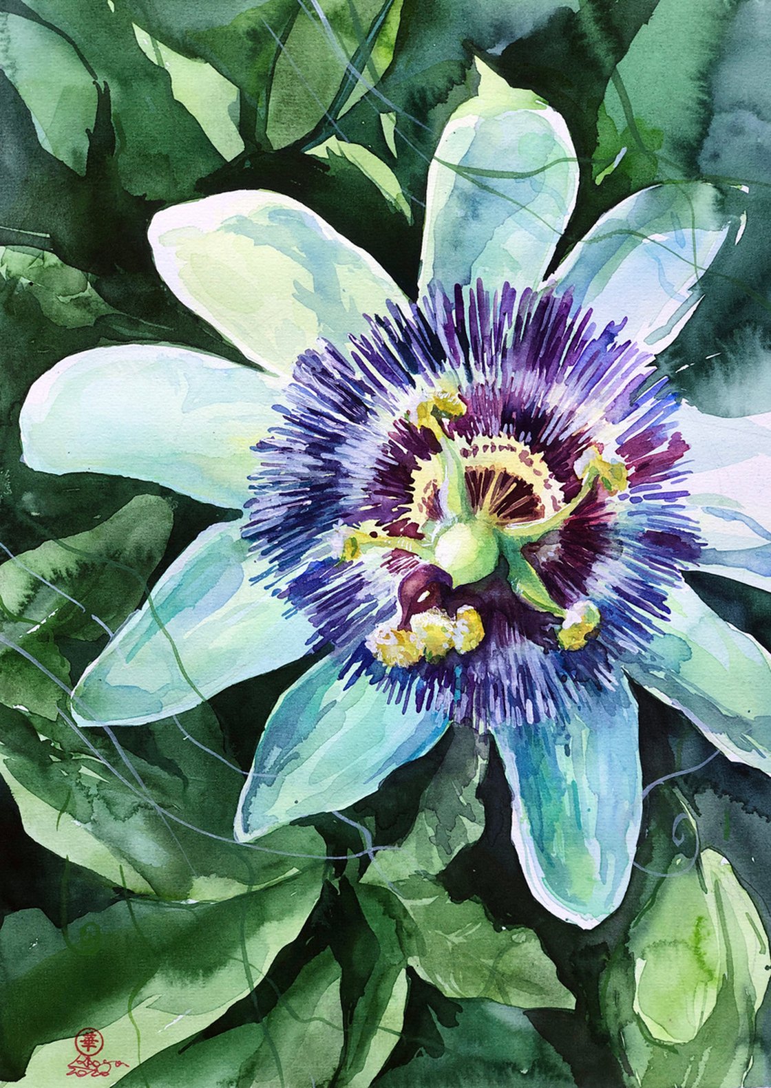 passion flower watercolor