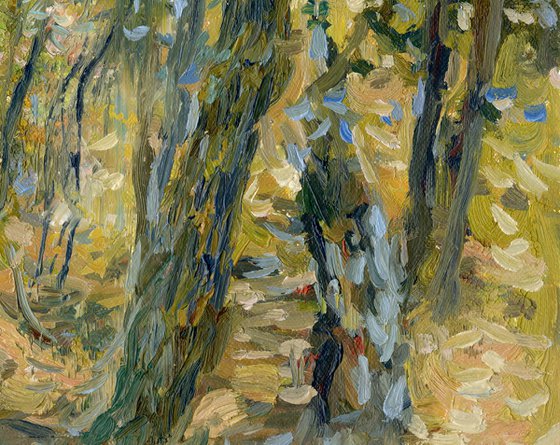 September. Forest. Surroundings of Ilyinki