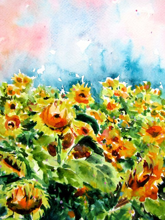 Sunflowers field