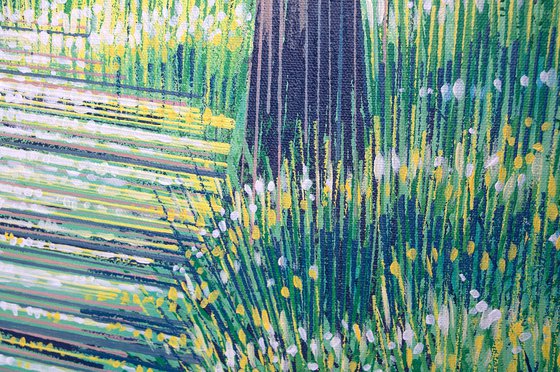Summer Forest Path