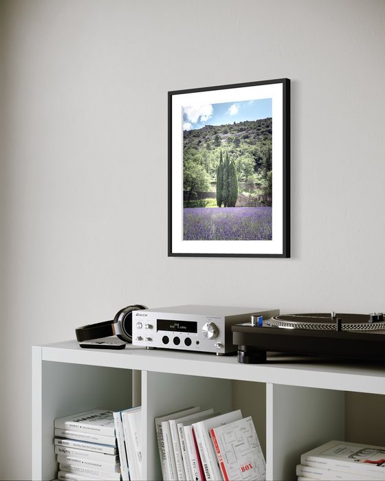 THE LIGHT OF FLOWERING